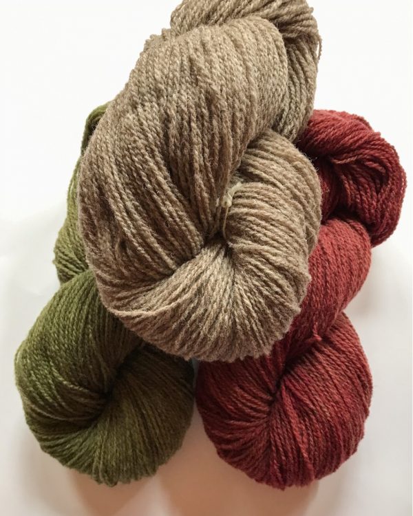 Ritort - ripollesa - 320m